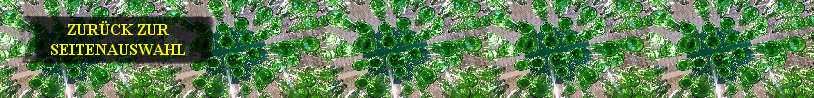 kneipe hamburg de   bier bar hamburg   gaststaette hamburg   nh hotel hamburg horn   ibis hotel hamburg wandsbek   hotel tiefenthal   sportsbar hamburg   raucherkneipe   bar   bierbar008.jpg